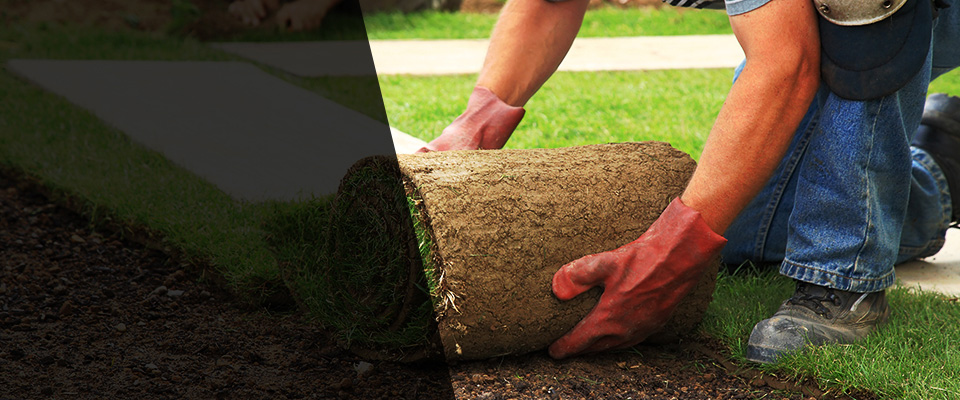 Fountain Inn Landscapers